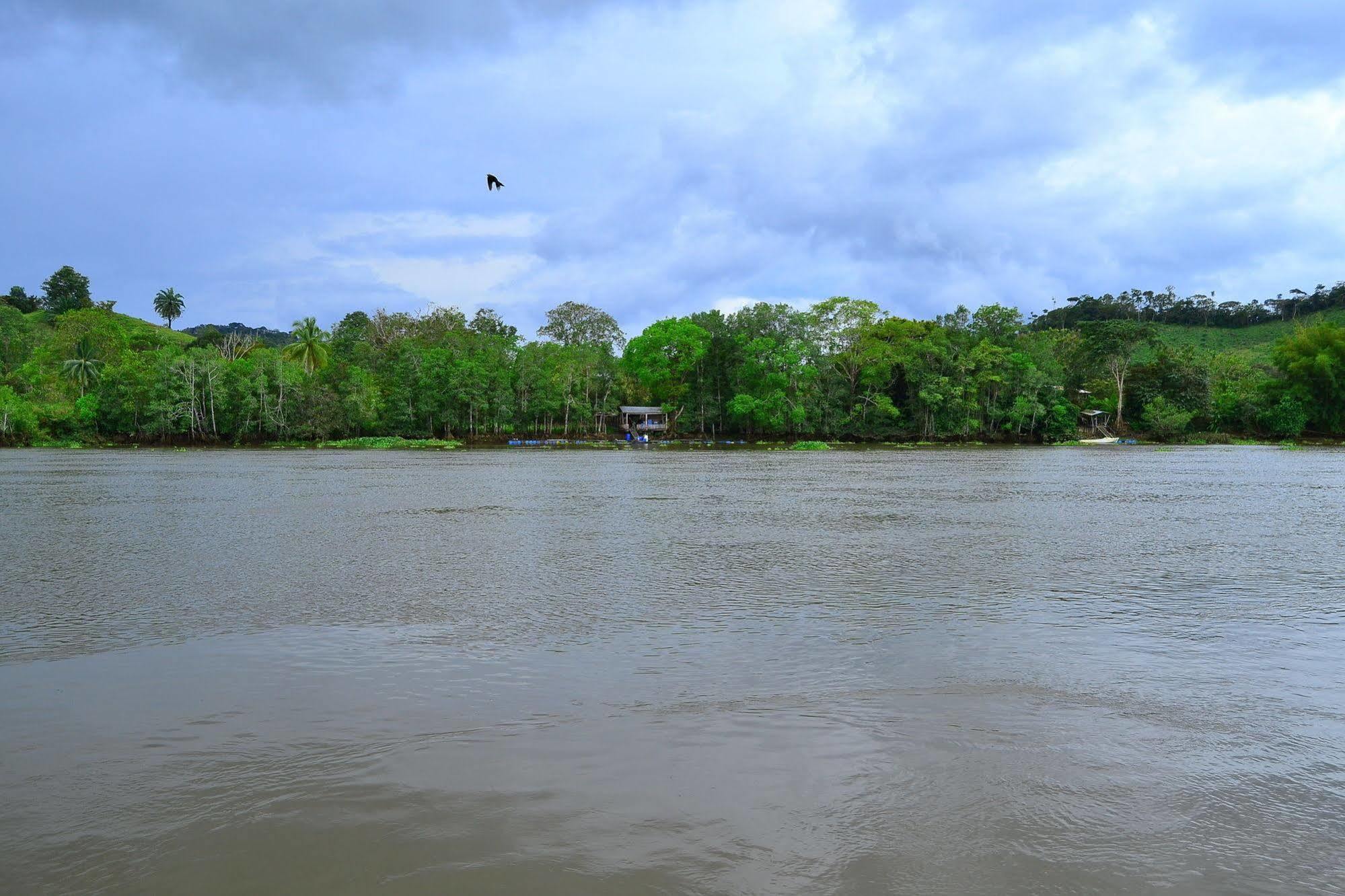 Hotel Sierpe River Kültér fotó